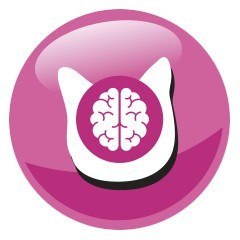 PREVITAL PREVITAL kurczak karma sucha karma kocięta 0,95kg PREVITAL PREVITAL kurczak karma sucha karma kocięta 0,95kg