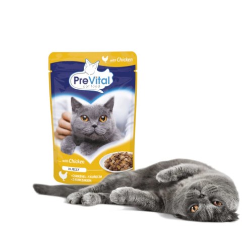 PREVITAL PREVITAL kurczak w galaretce dla kotów 100g PREVITAL PREVITAL kurczak w galaretce dla kotów 100g