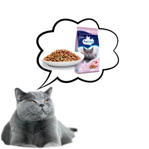 PREVITAL PREVITAL łosoś senior karma sucha dla kotów 1,4kg PREVITAL PREVITAL łosoś senior karma sucha dla kotów 1,4kg