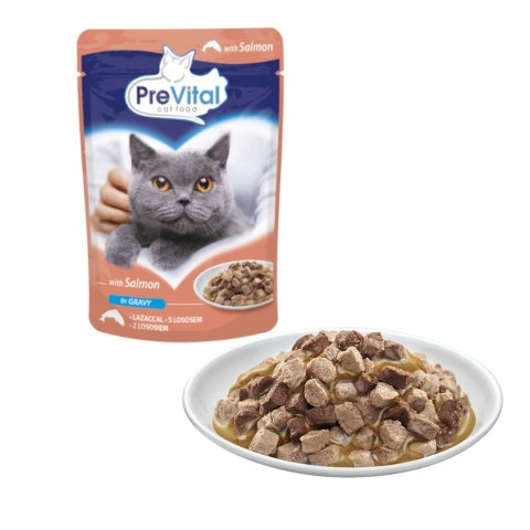 PREVITAL PREVITAL łosoś w sosie dla kotów 100g PREVITAL PREVITAL łosoś w sosie dla kotów 100g