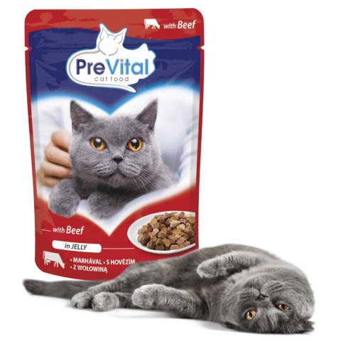 PREVITAL PREVITAL wołowina w galaretce dla kotów 100g PREVITAL PREVITAL wołowina w galaretce dla kotów 100g