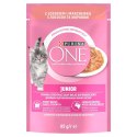 PURINA NESTLE PURINA ONE JUNIOR łosoś/marchew 85g