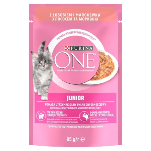 PURINA NESTLE PURINA ONE JUNIOR łosoś/marchew 85g