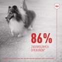 Royal Canin ROYAL CANIN Skin & Coat Adult Dog Supplements 240g
