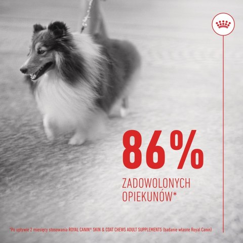 Royal Canin ROYAL CANIN Skin & Coat Adult Dog Supplements 240g Royal Canin ROYAL CANIN Skin & Coat Adult Dog Supplements 240g