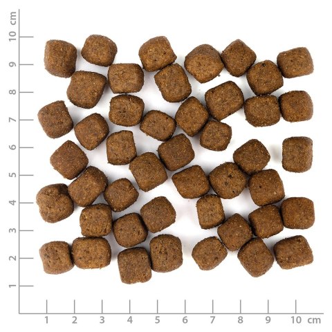 WOLFSBLUT WOLFSBLUT Grey Peak Adult goat/sweet potatos 12,5kg WOLFSBLUT WOLFSBLUT Grey Peak Adult goat/sweet potatos 12,5kg