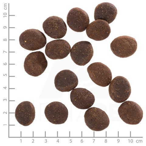 WOLFSBLUT WOLFSBLUT Polar Night Adult reindeer/pumpkin 12,5kg WOLFSBLUT WOLFSBLUT Polar Night Adult reindeer/pumpkin 12,5kg