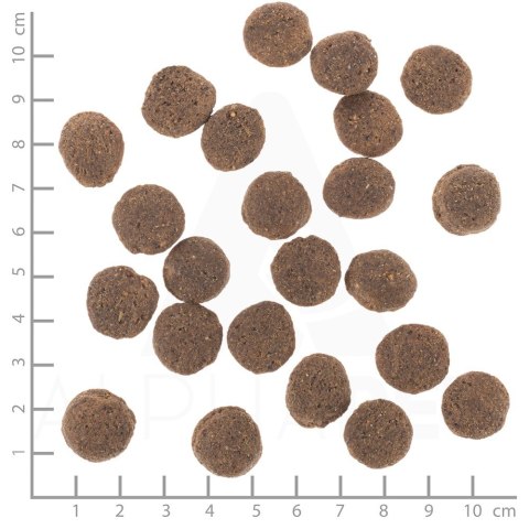 WOLFSBLUT WOLFSBLUT VETLINE HYPOALLERGENIC 12KG WOLFSBLUT WOLFSBLUT VETLINE HYPOALLERGENIC 12KG