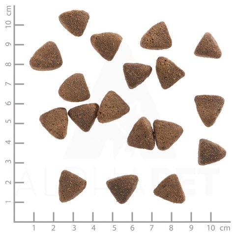 WOLFSBLUT WOLFSBLUT Wide Plain Light horse/sweet potatos 2kg WOLFSBLUT WOLFSBLUT Wide Plain Light horse/sweet potatos 2kg