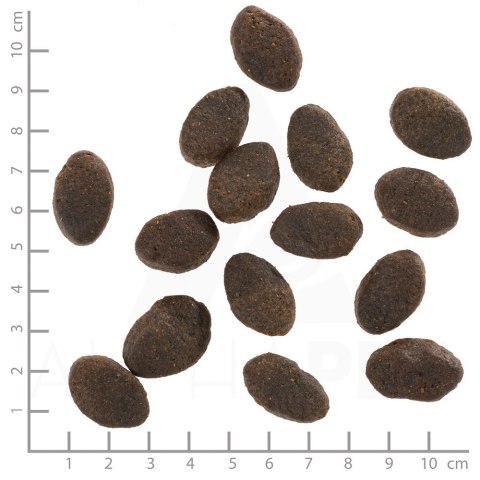 WOLFSBLUT WOLFSBLUT Wild Pacific Adult fish/potatos 12,5kg WOLFSBLUT WOLFSBLUT Wild Pacific Adult fish/potatos 12,5kg