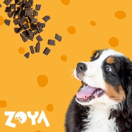 ZOYA ZOYA COLDPRO Jagnięcina sucha karma dla psa 3kg
