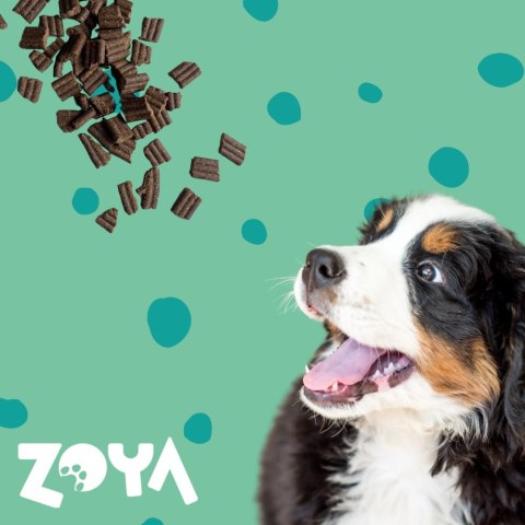 ZOYA ZOYA COLDPRO Jeleń sucha karma dla psa 9kg ZOYA ZOYA COLDPRO Jeleń sucha karma dla psa 9kg