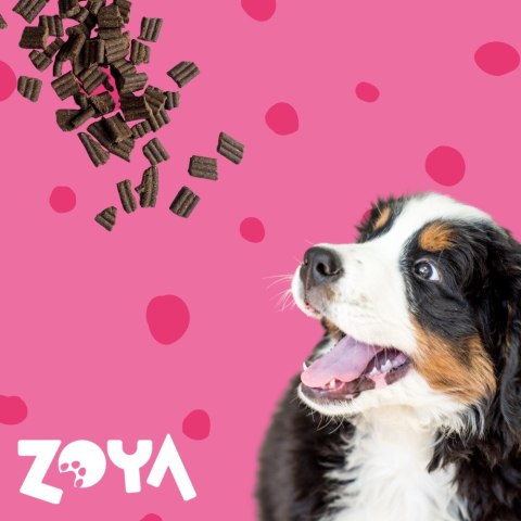 ZOYA ZOYA COLDPRO Wołowina sucha karma dla psa 3kg ZOYA ZOYA COLDPRO Wołowina sucha karma dla psa 3kg