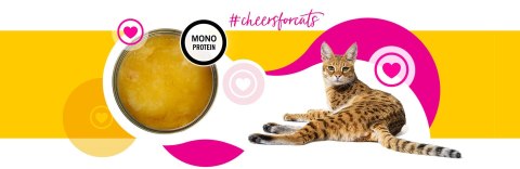 3coty 3Coty CHICKEN Cheers! Complementary feed cats 160g