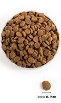 ACANA ACANA Adult Large Breed 11,4kg