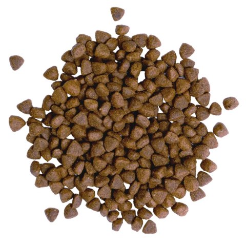 Bult BULT Karma sucha z kaczką i indykiem szczeniąta 3kg Bult BULT Karma sucha z kaczką i indykiem szczeniąta 3kg