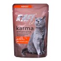 DOLINA NOTECI DOLINA NOTECI Rafi Cat Adult z kaczką - mokra karma dla kota - 100g