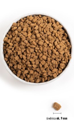 Orijen ORIJEN Small breed dog 1.8kg
