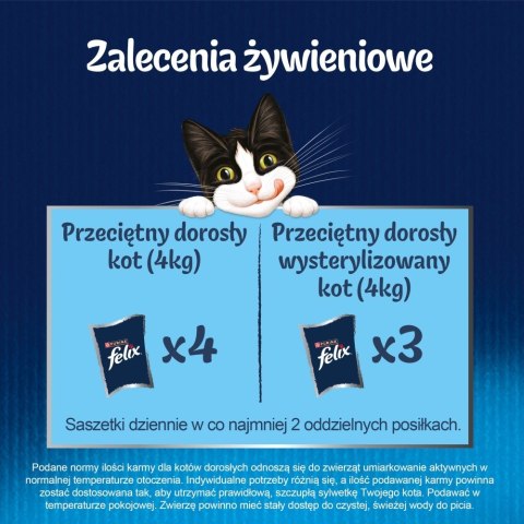 PURINA NESTLE PURINA FELIX FANTASTIC Mix Wiejskie smaki 120x85g PURINA NESTLE PURINA FELIX FANTASTIC Mix Wiejskie smaki 120x85g