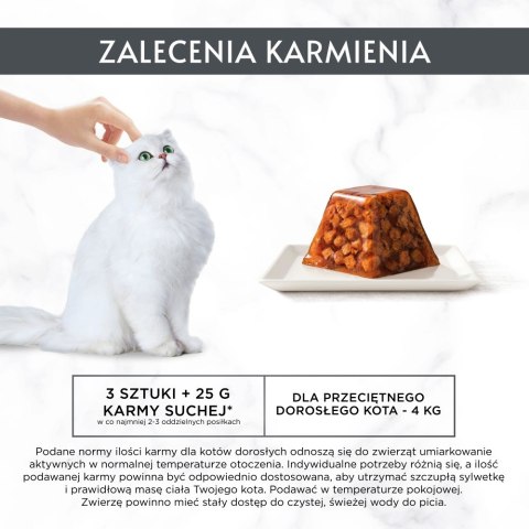 PURINA NESTLE PURINA GOURMET REVELATIONS Łosoś w galaretce 2X57g PURINA NESTLE PURINA GOURMET REVELATIONS Łosoś w galaretce 2X57g