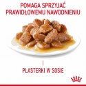 Royal Canin Karma Royal Canin Intense Beauty w sosie 12x85G