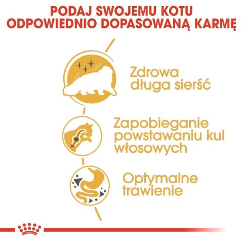 Royal Canin ROYAL CANIN Persian Adult - karma dla kota rasy pers - 2kg Royal Canin ROYAL CANIN Persian Adult - karma dla kota rasy pers - 2kg