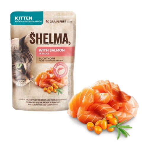 SHELMA SHELMA saszetka dla kociąt z łososiem i rokitnikiem 85g SHELMA SHELMA saszetka dla kociąt z łososiem i rokitnikiem 85g