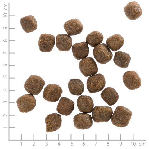 WOLFSBLUT WOLFSBLUT Cold River Adult trout/sweet pota. 12,5kg WOLFSBLUT WOLFSBLUT Cold River Adult trout/sweet pota. 12,5kg