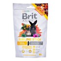 Brit Brit Animals IMMUNE STICK FOR RODENTS 80g