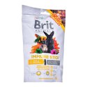 Brit Brit Animals IMMUNE STICK FOR RODENTS 80g
