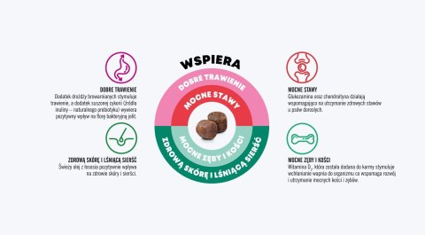 JOHN DOG John Dog GOOD Adult kurczak z wołowiną12 kg