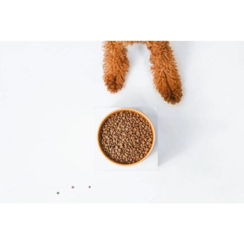 NATURE'S PROTECTION Nature's Protection Red Coat Grain Free Salmon & Krill Adult Small Breeds 1,5kg