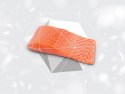 NATURE'S PROTECTION Nature's Protection Red Coat Grain Free Salmon & Krill Adult Small Breeds 1,5kg
