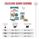Royal Canin ROYAL CANIN FHN Cat Ageing 11+ 0,4kg