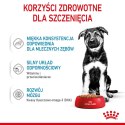 Royal Canin ROYAL CANIN SHN Maxi Puppy w sosie 10X140G