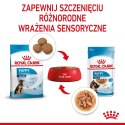 Royal Canin ROYAL CANIN SHN Maxi Puppy w sosie 10X140G