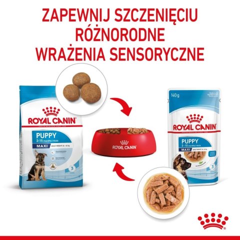 Royal Canin ROYAL CANIN SHN Maxi Puppy w sosie 10X140G