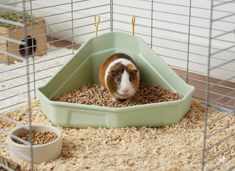 ZOLUX ZOLUX Toaleta narożna dla królika i kawii COSY zielona